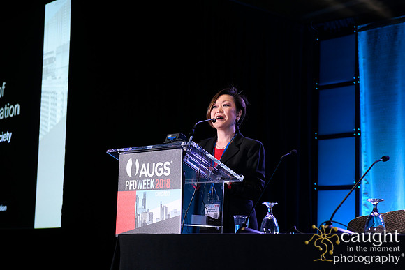 613 AUGS 2018 in Chicago - SUFU Update