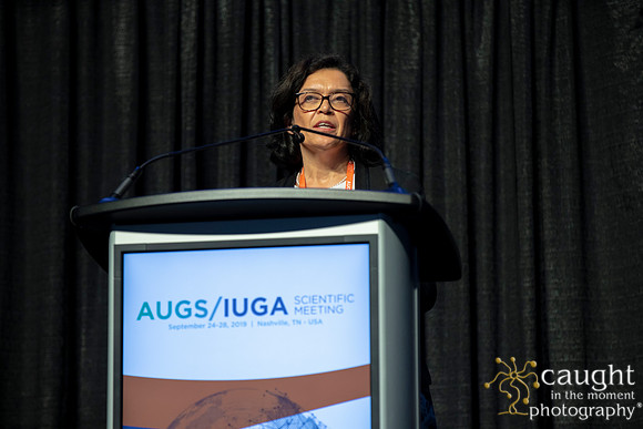 478 AUGS-IUGA 2019 Nashville