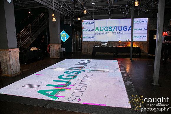 785 AUGS-IUGA 2019 Nashville