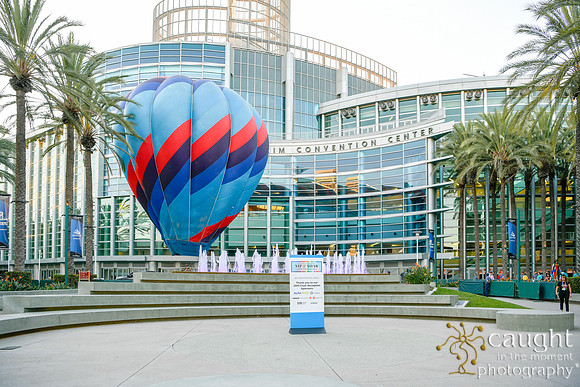 1253 Summit 2019 Anaheim Convention Center