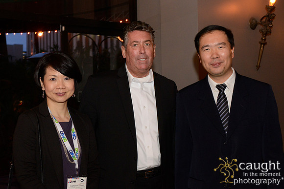 033 TPM 2015 CMHI