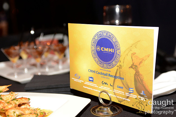 020 TPM 2015 CMHI