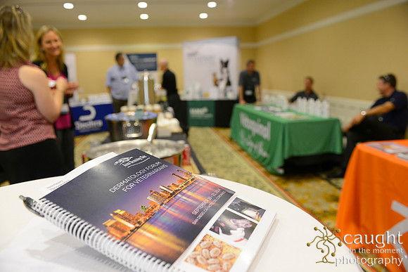 021 Dermatology Forum for Veterinarians 2014 Hotel del Coronado