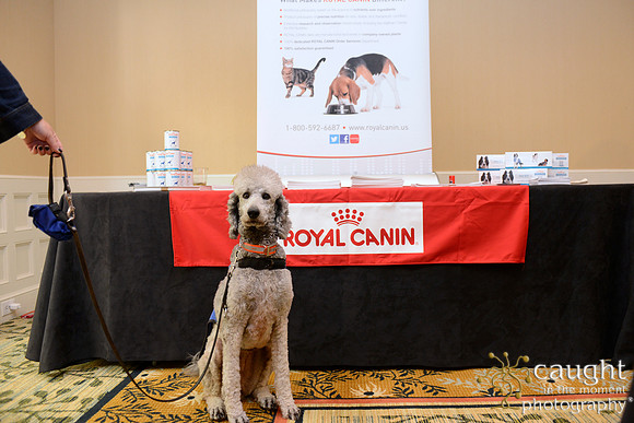 019 Dermatology Forum for Veterinarians 2014 Hotel del Coronado
