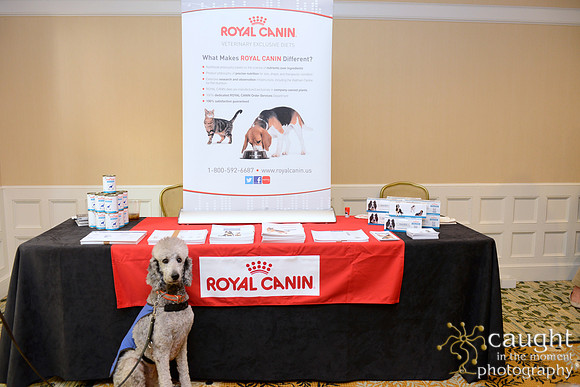 018 Dermatology Forum for Veterinarians 2014 Hotel del Coronado