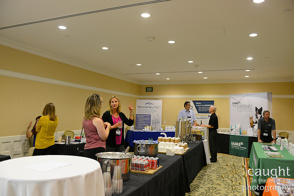020 Dermatology Forum for Veterinarians 2014 Hotel del Coronado