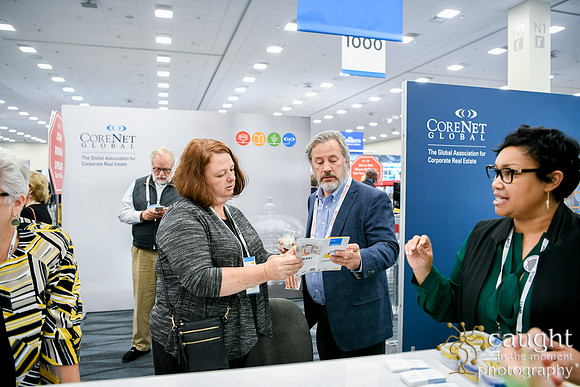 028 Highlights CNG Summit 2019