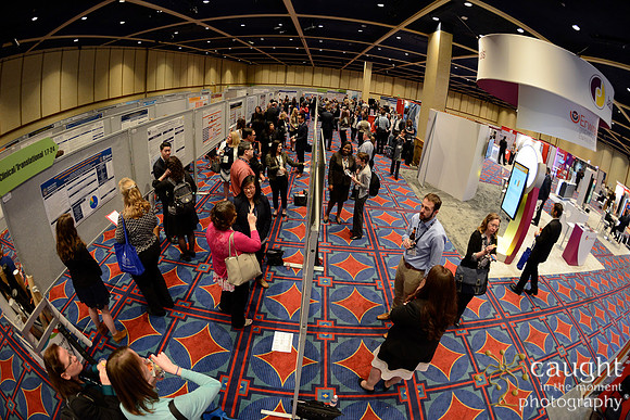 604 HOPA 2017 Posters
