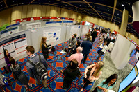 568 HOPA 2017 Posters
