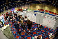 570 HOPA 2017 Posters