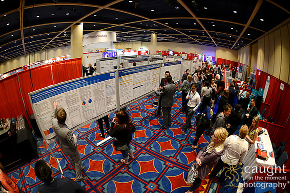 575 HOPA 2017 Posters