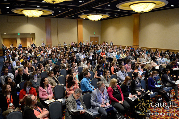 136 HOPA 2017 Sessions