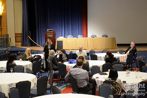 262 HOPA 2017 Interest Groups