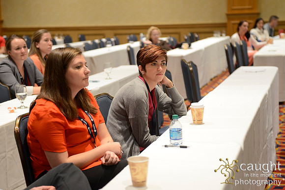 256 HOPA 2017 Interest Groups