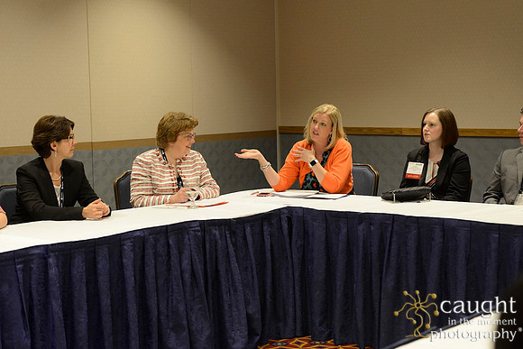 248 HOPA 2017 Interest Groups
