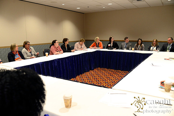 243 HOPA 2017 Interest Groups