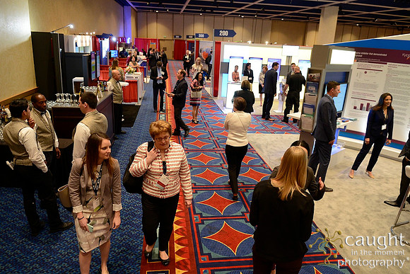 293 HOPA 2017 Exhibit Hall