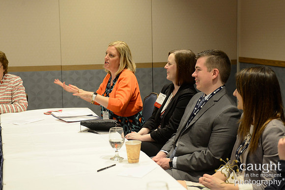 246 HOPA 2017 Interest Groups