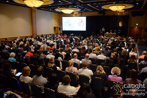 079 HOPA 2017 Sessions
