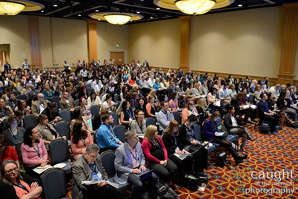 135 HOPA 2017 Sessions