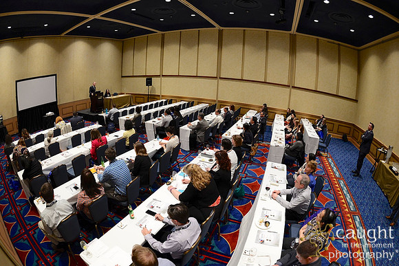 421 HOPA 2017 Corporate Showcases