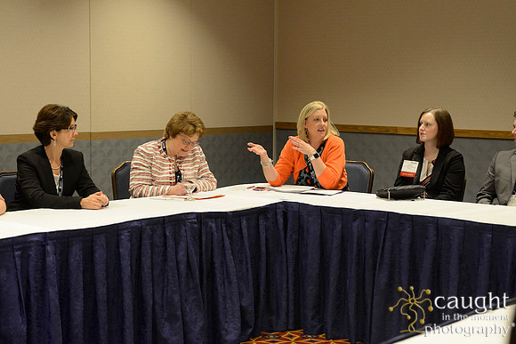 247 HOPA 2017 Interest Groups
