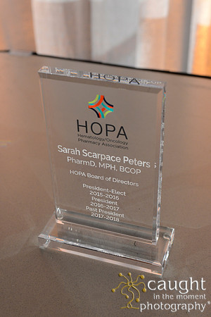 741 HOPA 2017 Conference in Denver-Incoming President