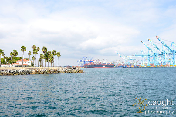 196 IANA Intermodal Expo 2017 Long Beach