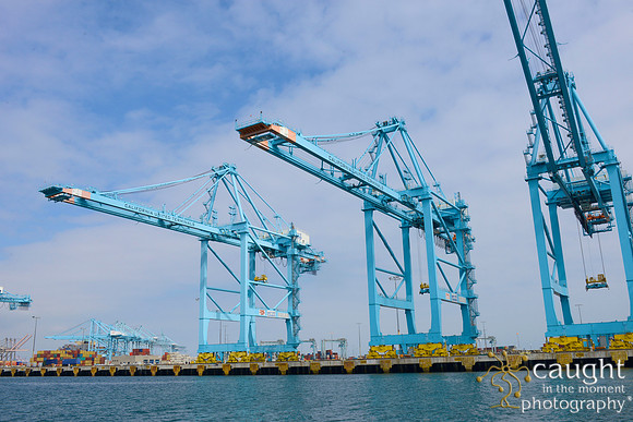 197 IANA Intermodal Expo 2017 Long Beach