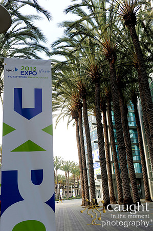 IFSA Annual Conference & Exhibit 2013 Anaheim Convention Center 3