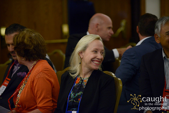 065 IFSA 2015 Annual Conference and EXPO
