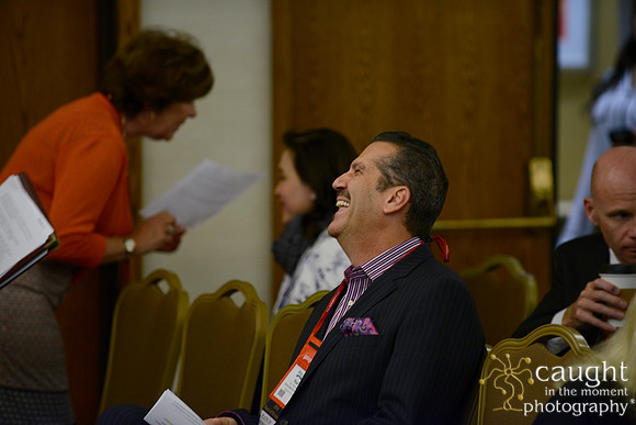 064 IFSA 2015 Annual Conference and EXPO