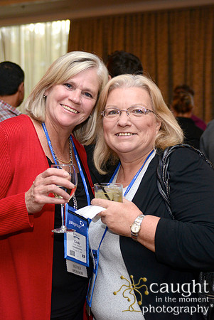 189 IFSA 2015 Annual Conference and EXPO