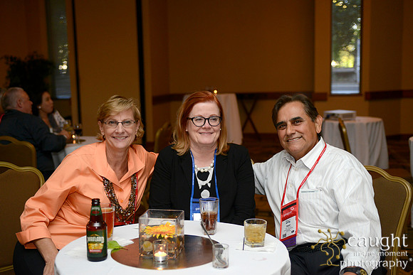 151 IFSA 2015 Annual Conference and EXPO
