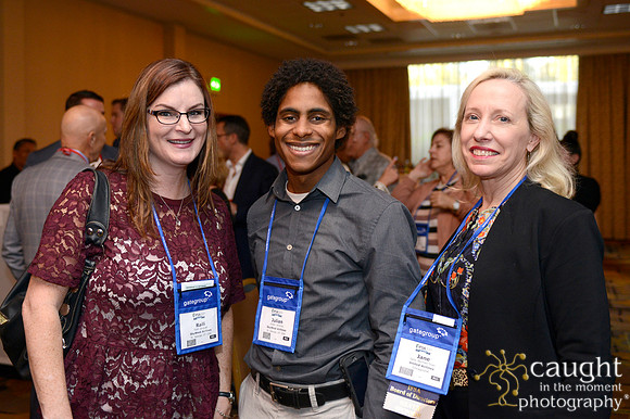 179 IFSA 2015 Annual Conference and EXPO