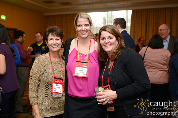 191 IFSA 2015 Annual Conference and EXPO