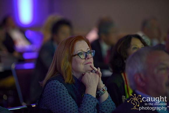 267 IFSA 2015 Annual Conference and EXPO