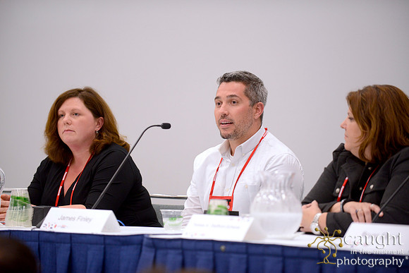 451 IFSA Conference 2014 Anaheim