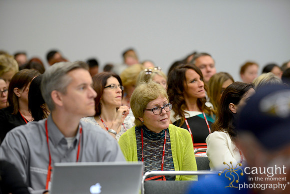 347 IFSA Conference 2014 Anaheim