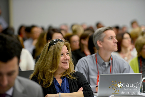 349 IFSA Conference 2014 Anaheim