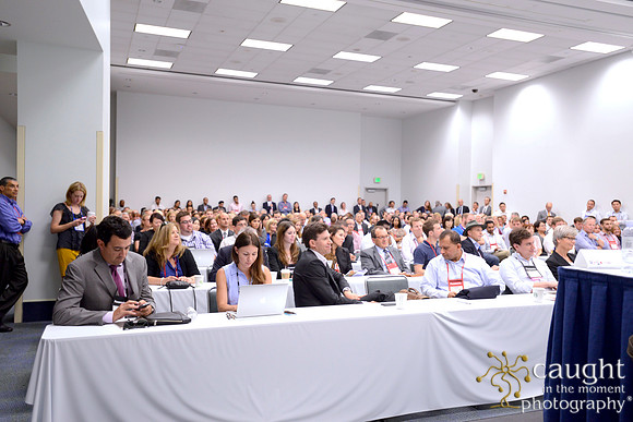 407 IFSA Conference 2014 Anaheim