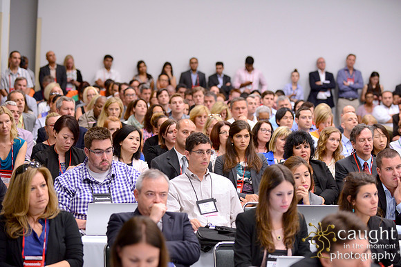 391 IFSA Conference 2014 Anaheim