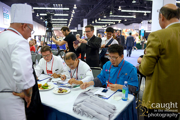 827 IFSA Conference 2014 Anaheim