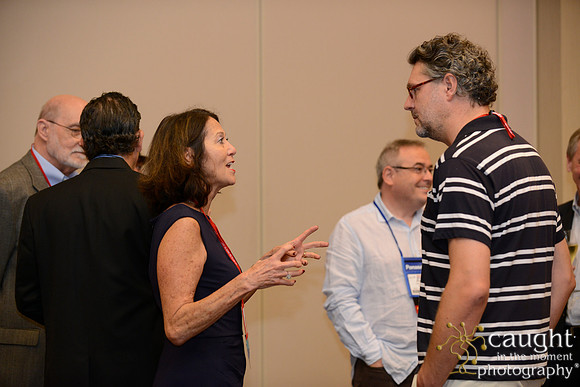 002 IFSA Conference 2014 Anaheim