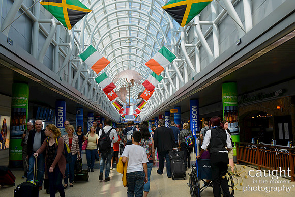003 IFSA 2016 Chicago Conference McCormick Place Convention Center