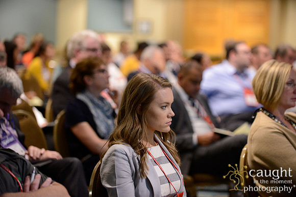 066 IFSA Conference 2017 Long Beach