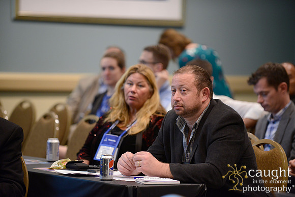 101 IFSA Conference 2017 Long Beach