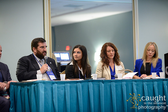 079 IFSA Conference 2017 Long Beach