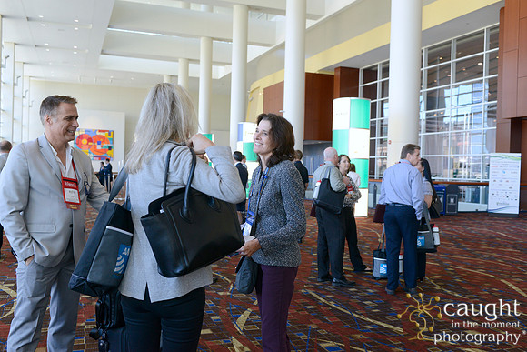 051 IFSA 2016 Chicago Conference McCormick Place Convention Center