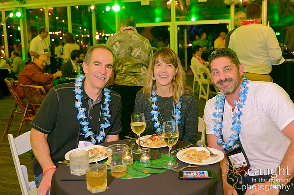 491 IFSA Conference 2017 Long Beach